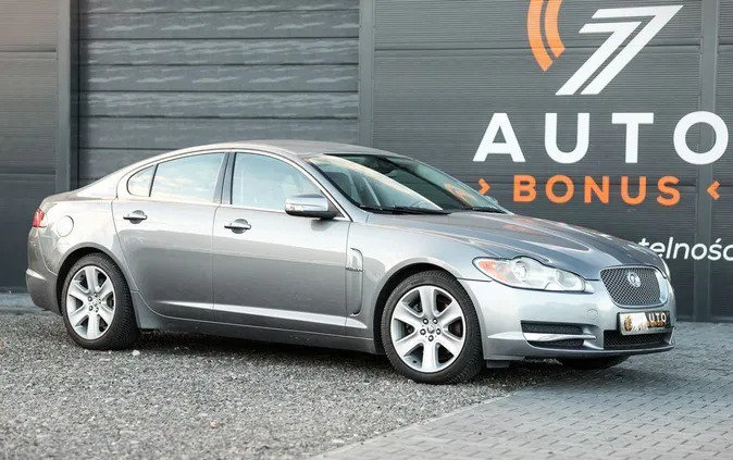 jaguar Jaguar XF cena 47900 przebieg: 222000, rok produkcji 2008 z Suchedniów